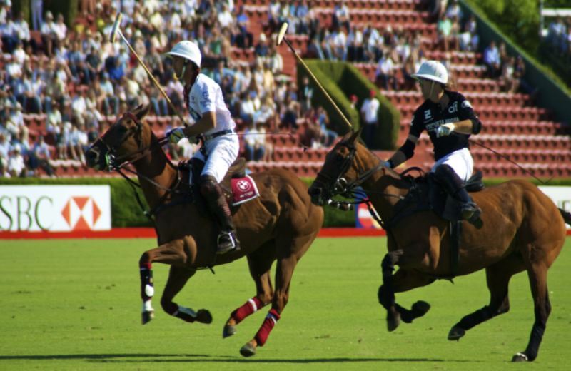 Tours And Tickets For Polo Match In Argentina Events Polo In Buenos