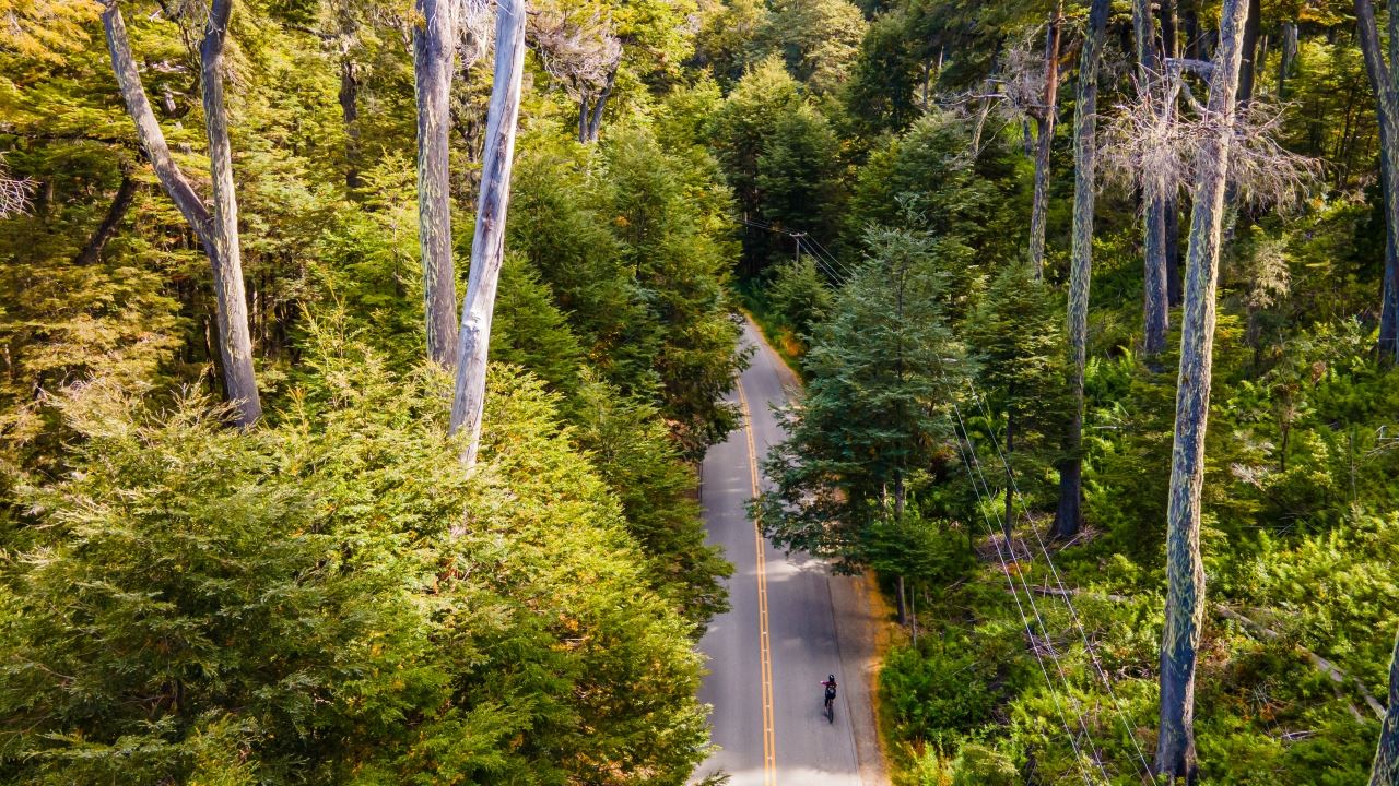LOCATION DE VÉLOS ÉLECTRIQUES SUR PETIT CIRCUIT (6)