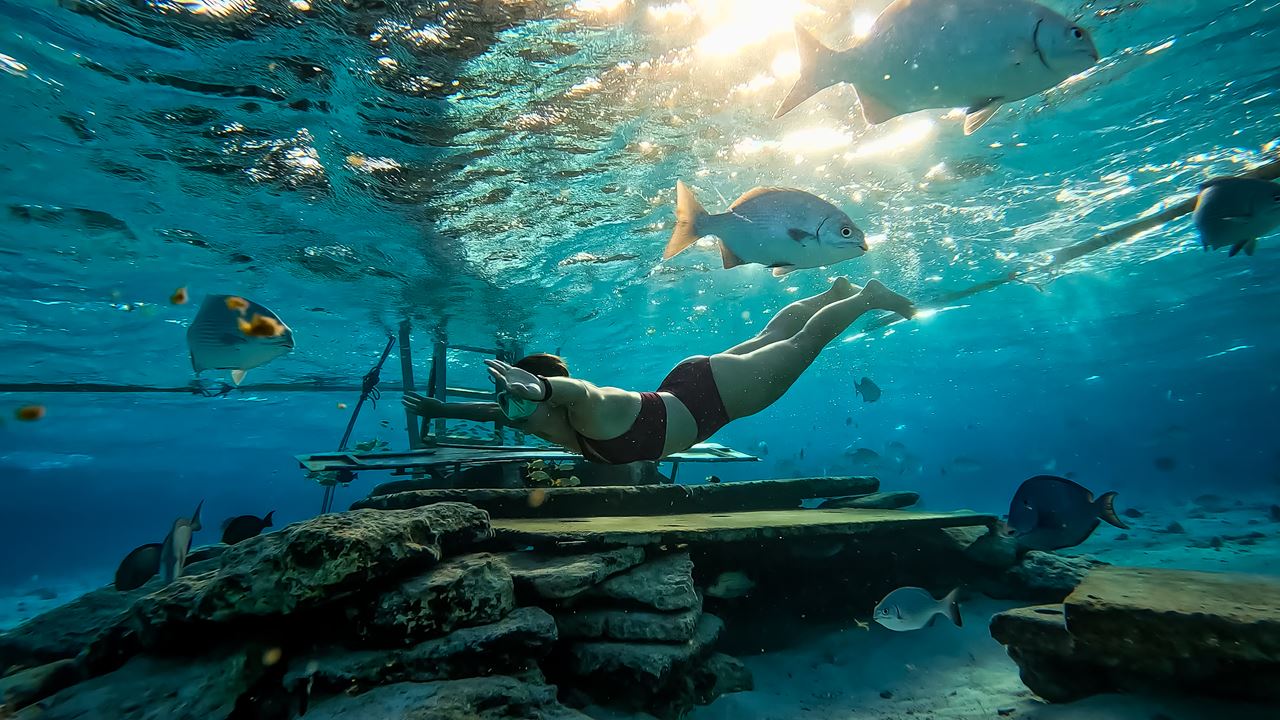 Amanecer en la Isla del Acuario con snorkeling (6)