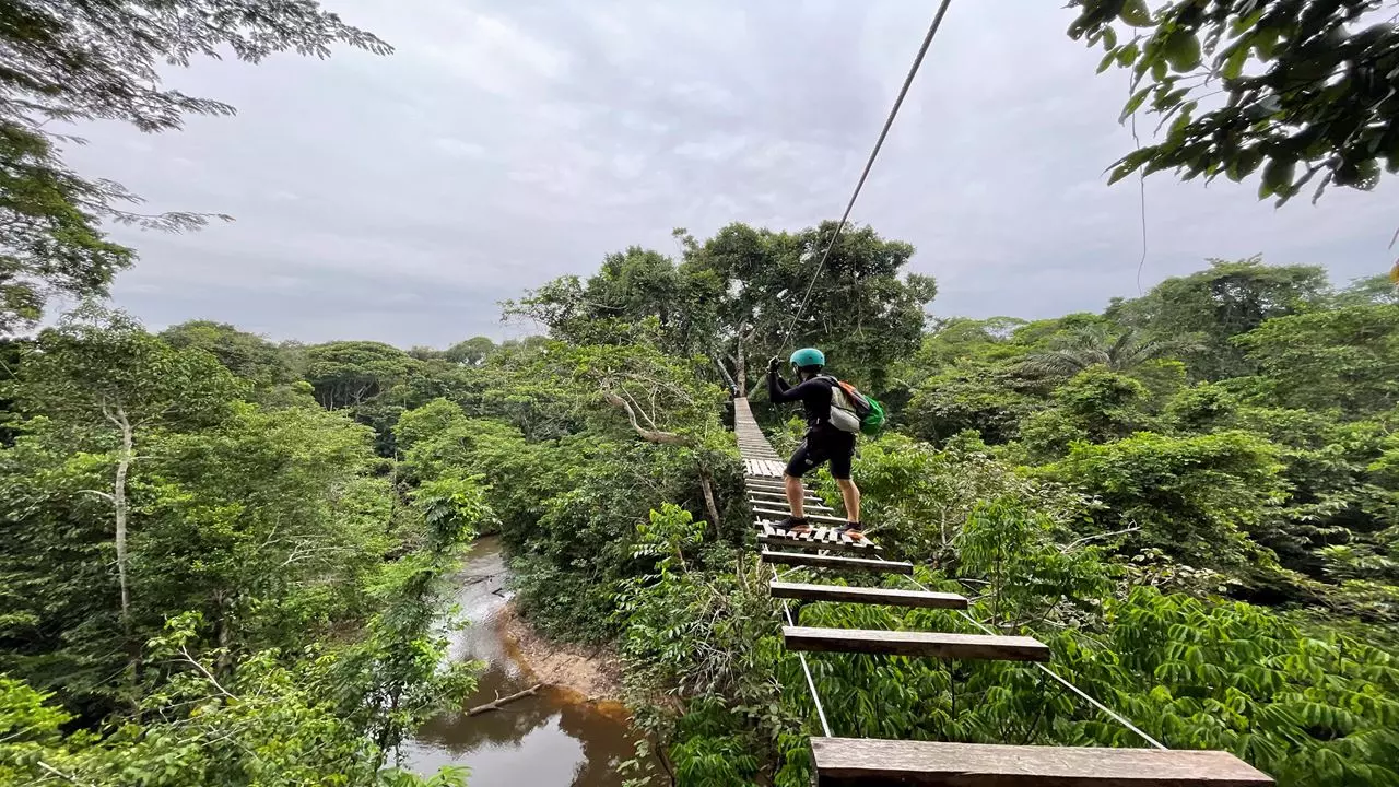 Safari En Amazonie : Trois Pays, Une Jungle Sauvage