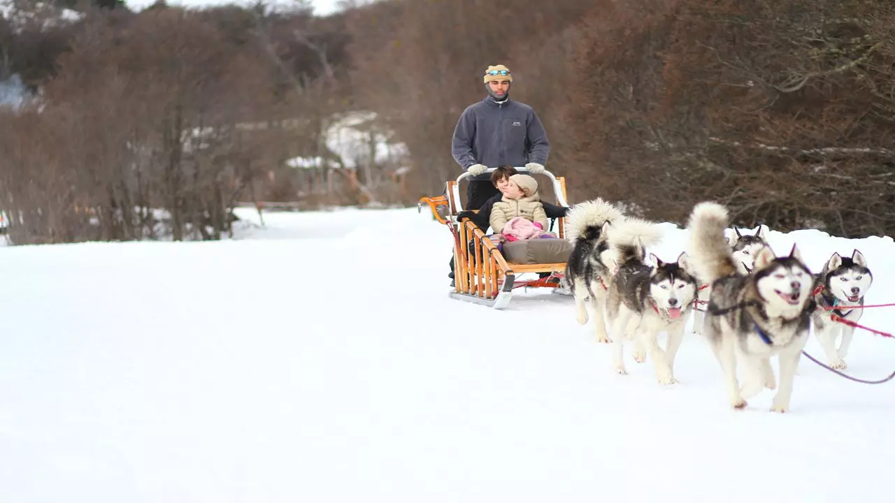 White Adventure With Huskies