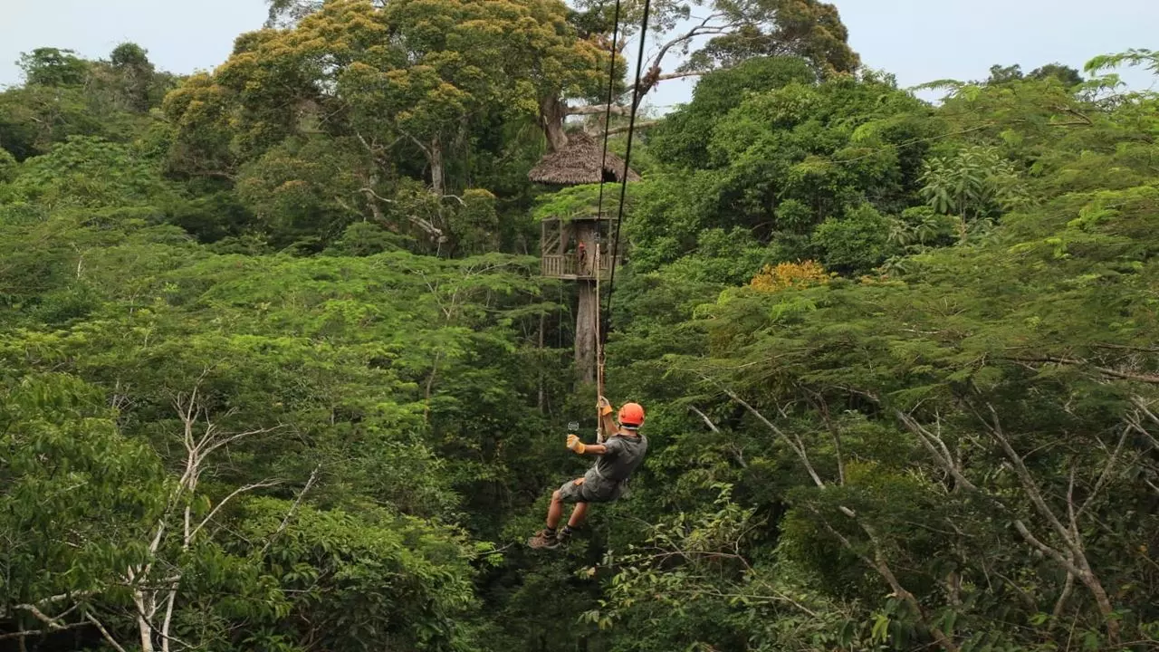 Canopy, Pont Suspendu Et Centre De Sauvetage Des Animaux