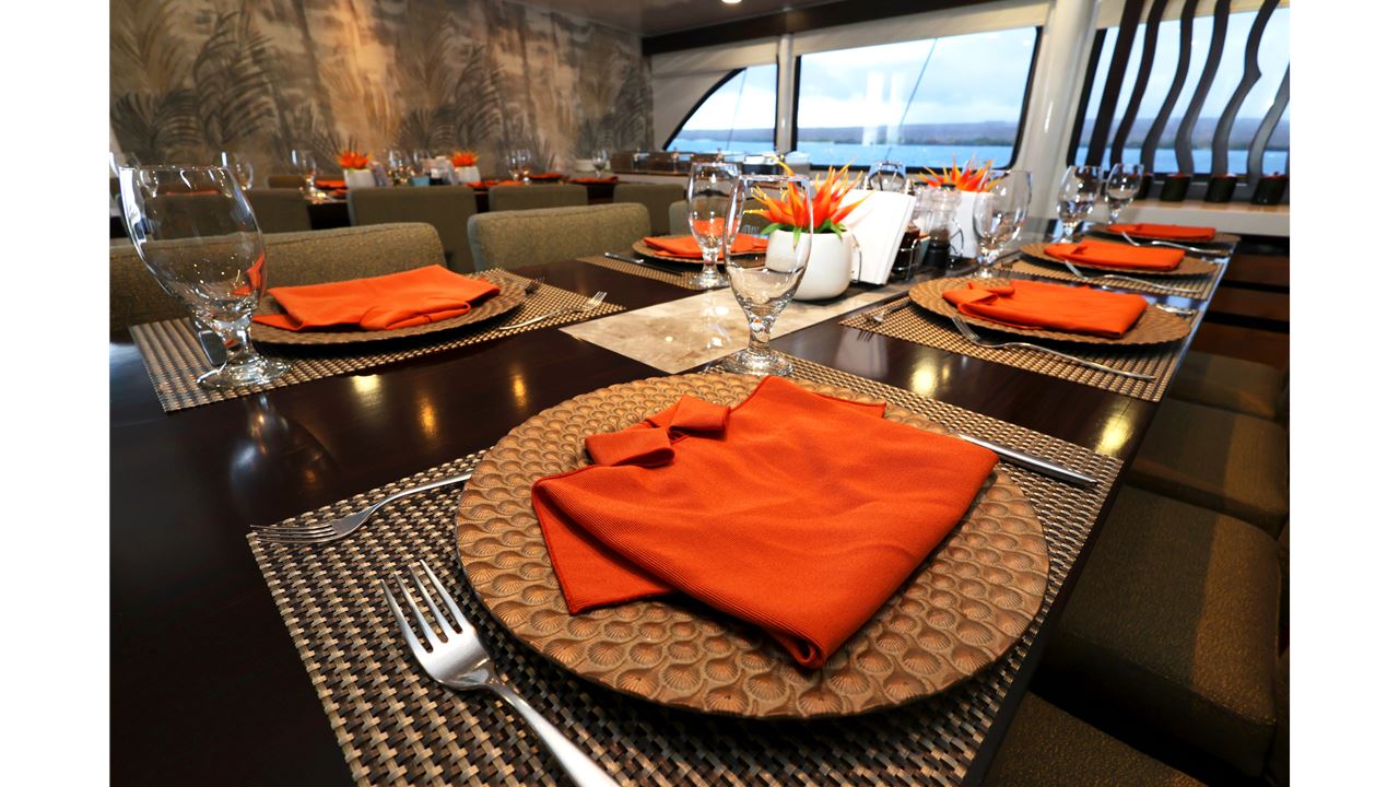 Galápagos Inolvidable: Expedición Premium en Crucero - 5 Días (11)