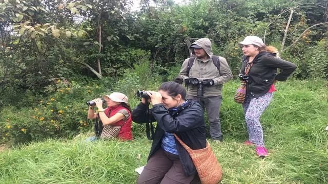 Vogelbeobachtung Am Cerro Monserrate In Bogotá