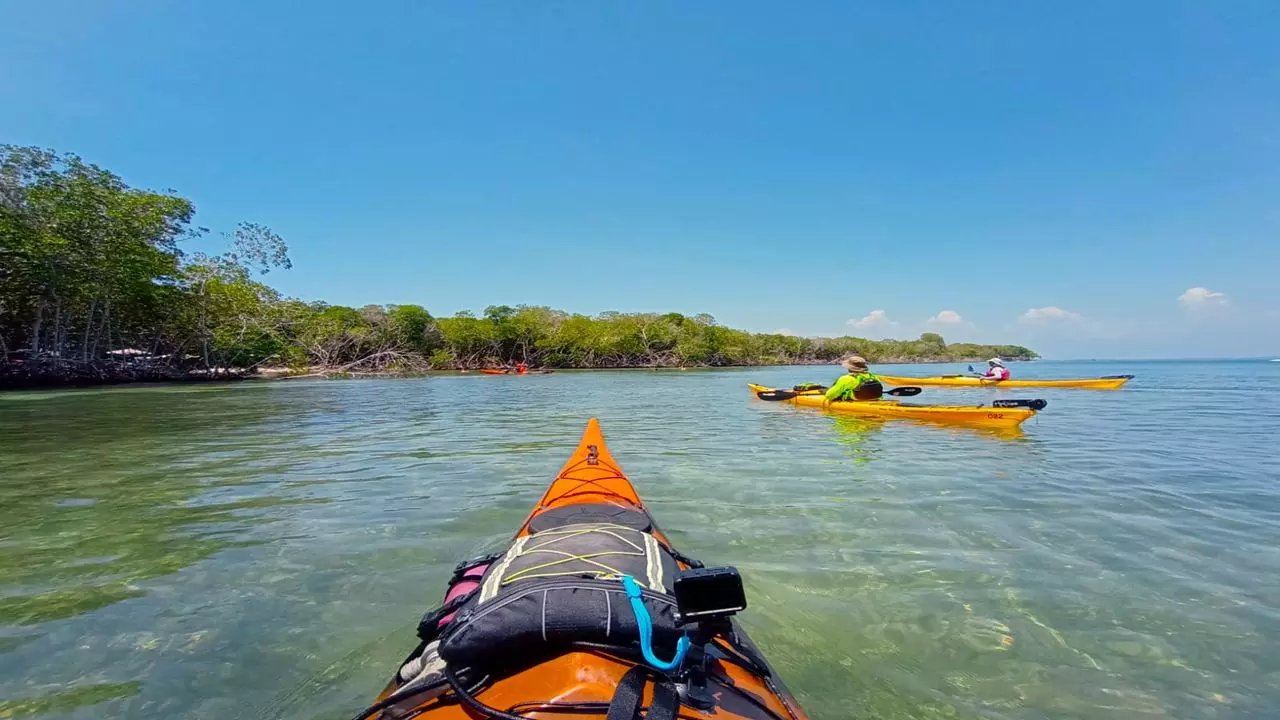 Barú En Kayak : Une Immersion Dans La Beauté Naturelle