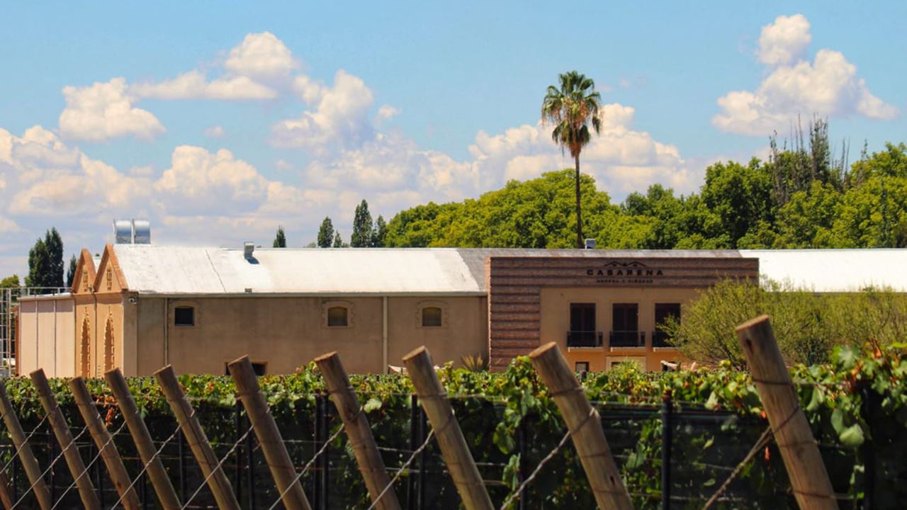 VIGNOBLE CASARENA (6)