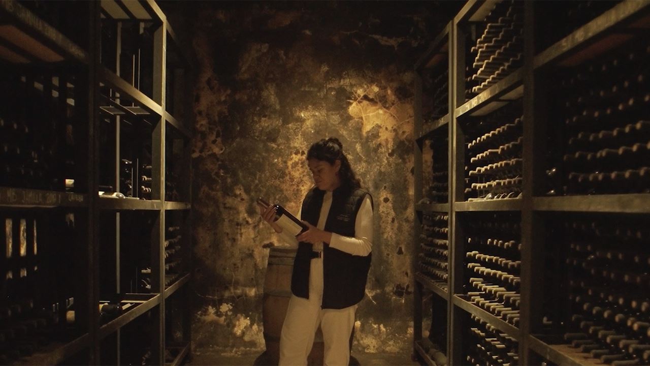 VIGNOBLE CASARENA (8)