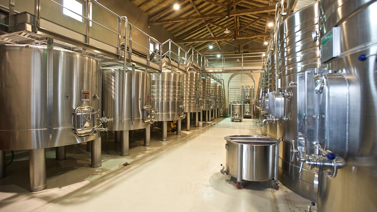 VIGNOBLE CASARENA (9)