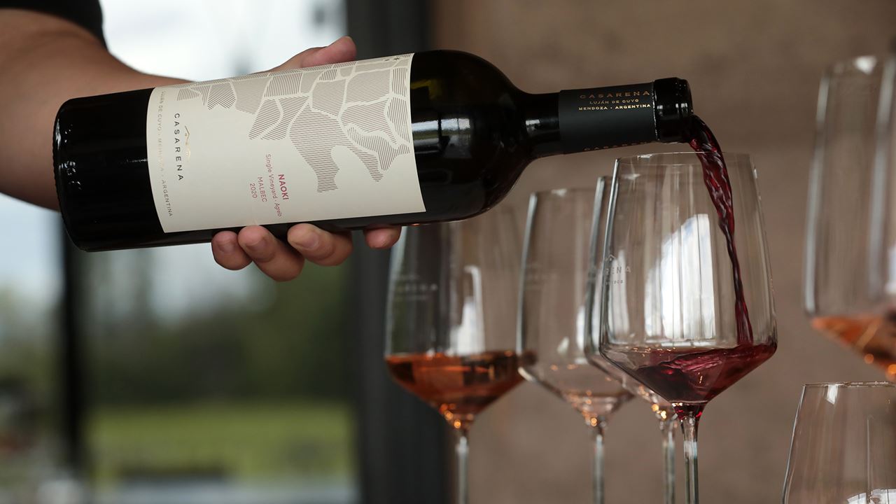 VIGNOBLE CASARENA (10)