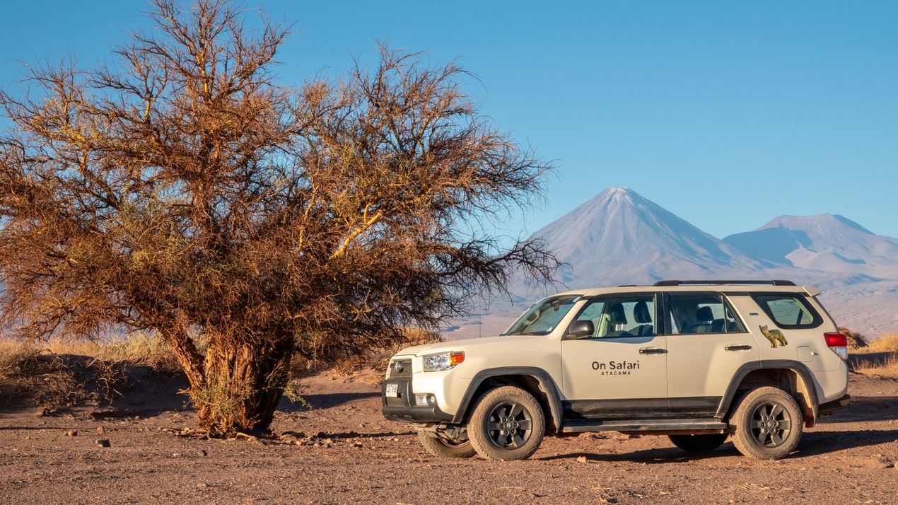 Safari guidé en buggy : aventure hors route au milieu des dunes et des paysages naturels (5)