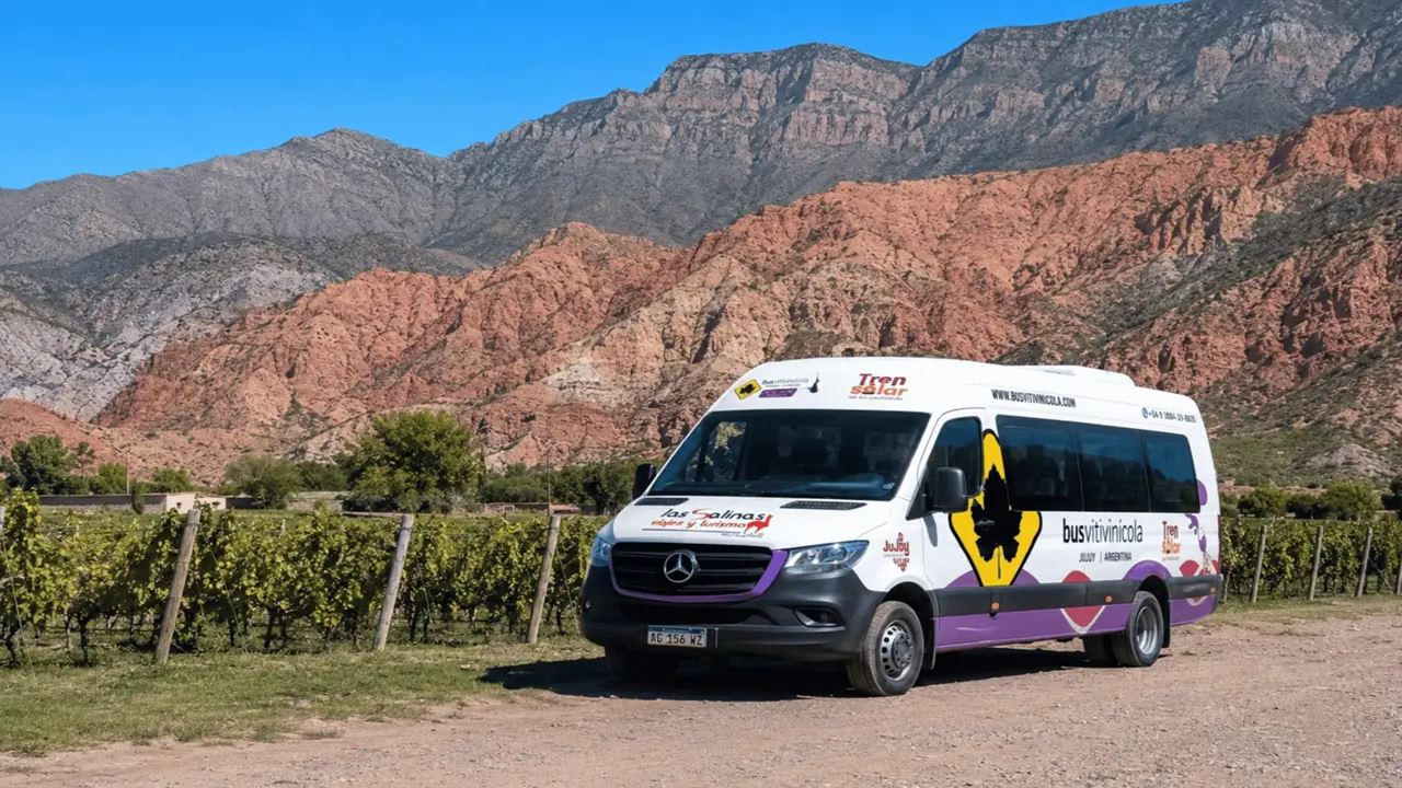 BUS VITIVINICOLA (8)