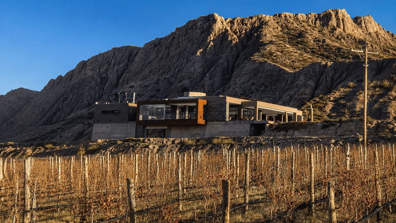 Wine Bus foto 6