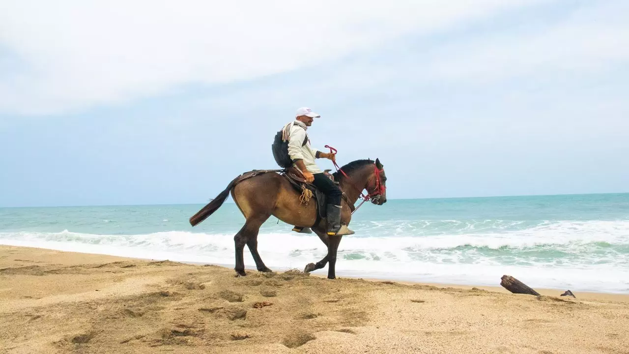 Randonnée À Cheval À La Plage De Los Naranjos