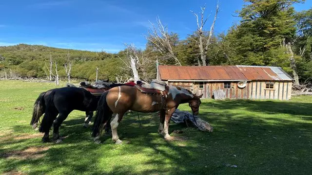 Cabalgata De 2 Días Desde Estancia Nibepo Aike