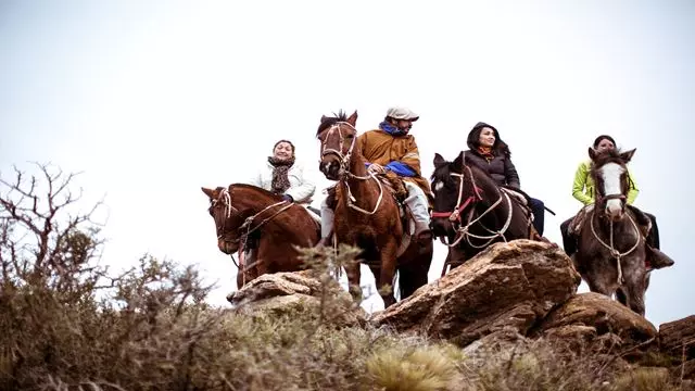 Passeio A Cavalo De Dia Inteiro Na Cordilheira Dos Andes