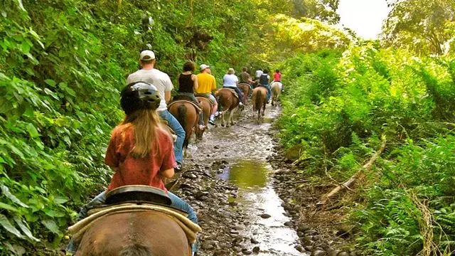 Balade À Cheval À Baños