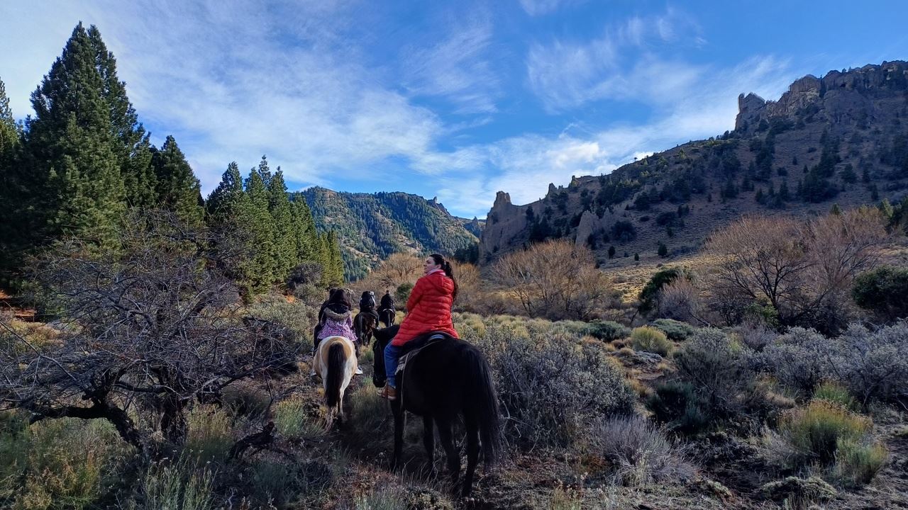 Scenic Horseback Ride Through The Río Simpson National Reserve