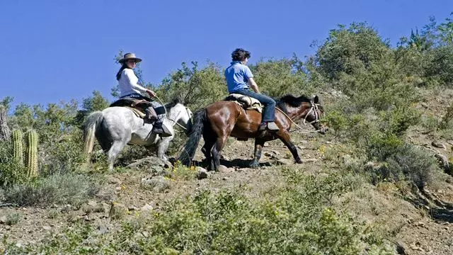 Las Animas Waterfall Horseback Riding With Asado In Cajón Del Maipo