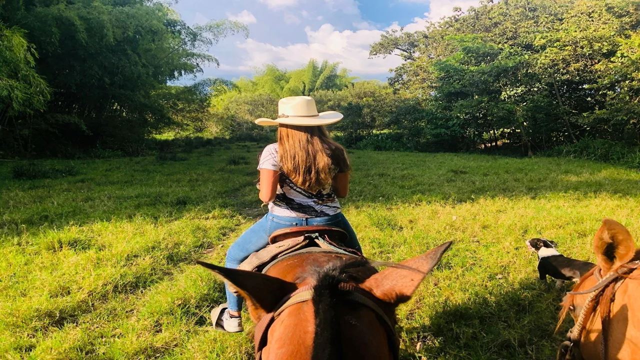 Horseback Riding Through The Coffee Landscape