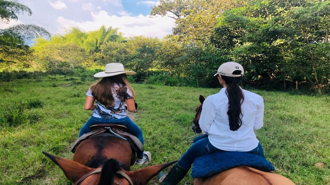 Horseback Riding Through The Coffee Landscape foto 4