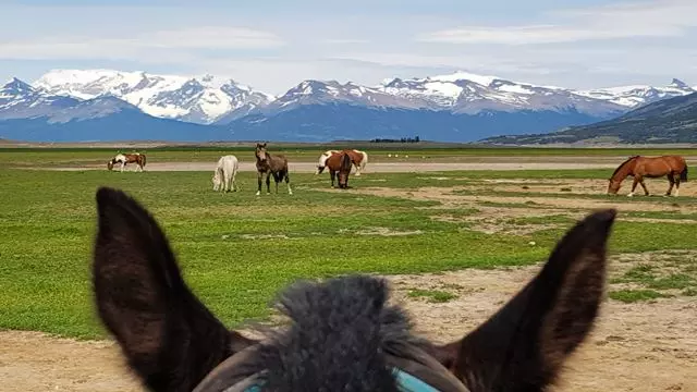 Balade À Cheval Río Mitre