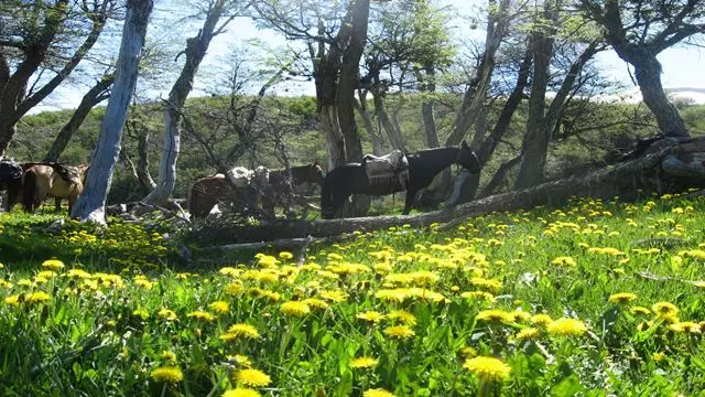 Reiten Am See Roca