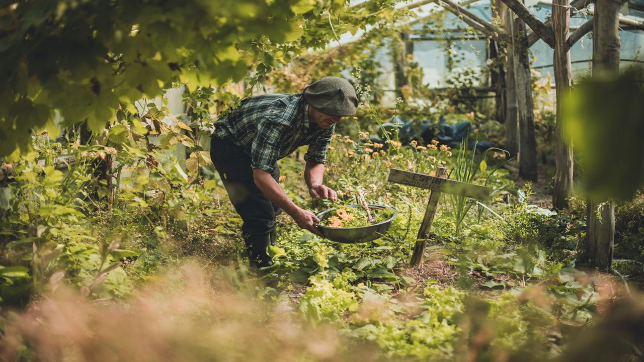 Waterfall Hike and Microscopic Nature Experience (5)
