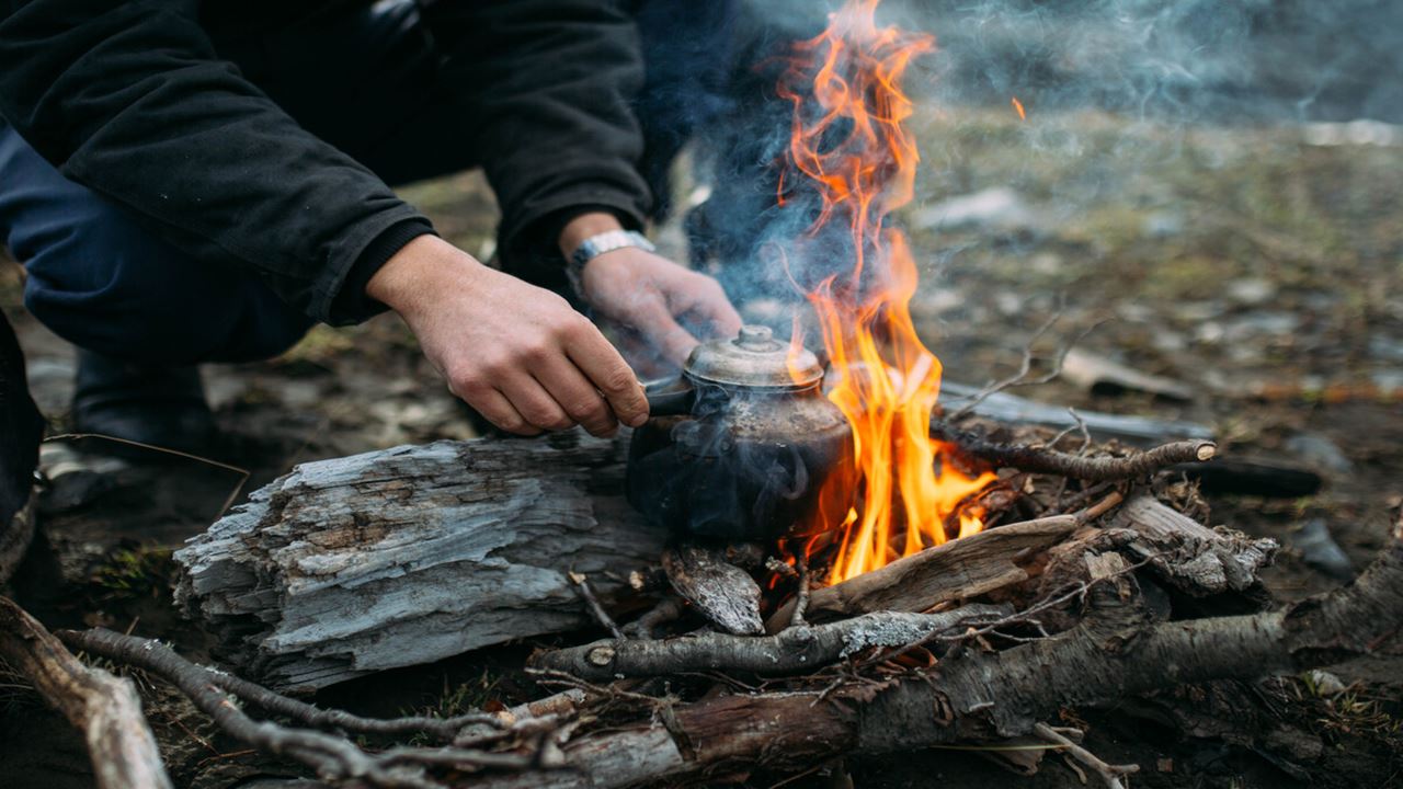 Waterfall Hike and Microscopic Nature Experience (6)