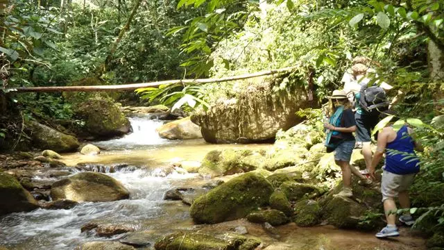 Ökologische Wanderung Und Wasserfall La Miel
