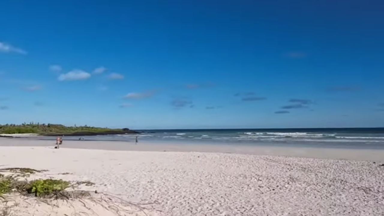 CAMINATA PANORÁMICA A LA PLAYA TORTUGA BAY (7)
