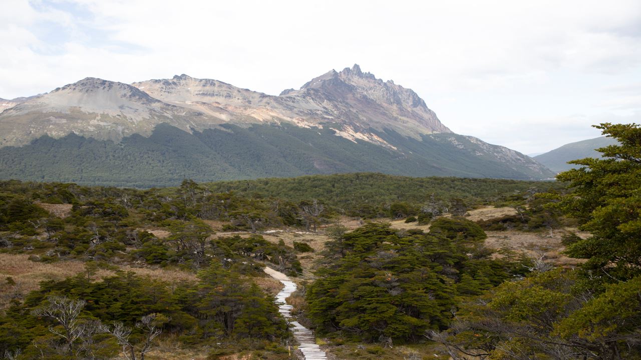 VISITE DE LA CASCADE DE BEBAN EN VÉLO ÉLECTRIQUE (8)