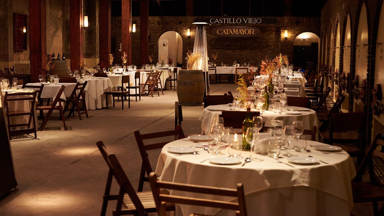 CATA DE VINOS Y ALMUERZO EN BODEGA CASTILLO VIEJO (4)