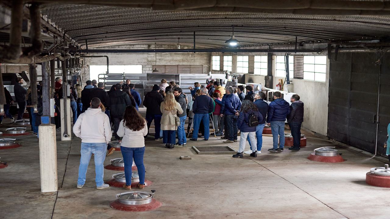 CATA DE VINOS Y ALMUERZO EN BODEGA CASTILLO VIEJO (6)