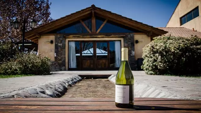 Dégustation De Vin Et Déjeuner À Lujan De Cuyo