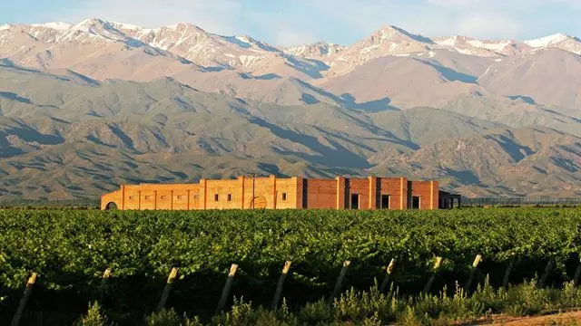 Dégustation De Vin Et Déjeuner Dans La Vallée D`Uco