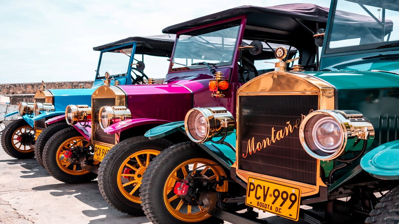 Dîner et visite en calèche de la ville fortifiée (7)