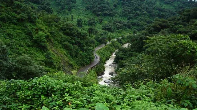 Boy Circuit With Yungas