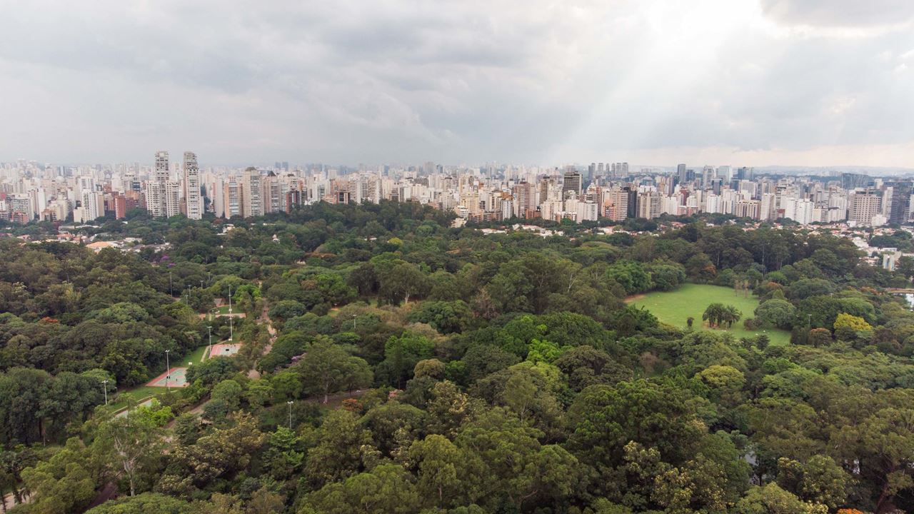 Private full-day city tour in São Paulo (5)