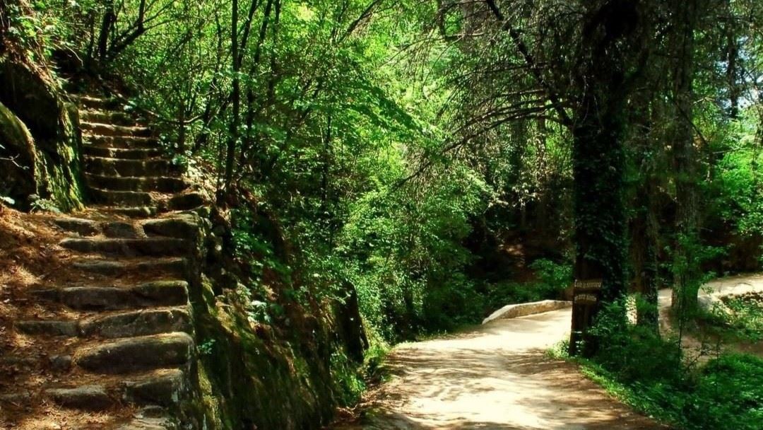 VISITE DE LA VILLE (2)