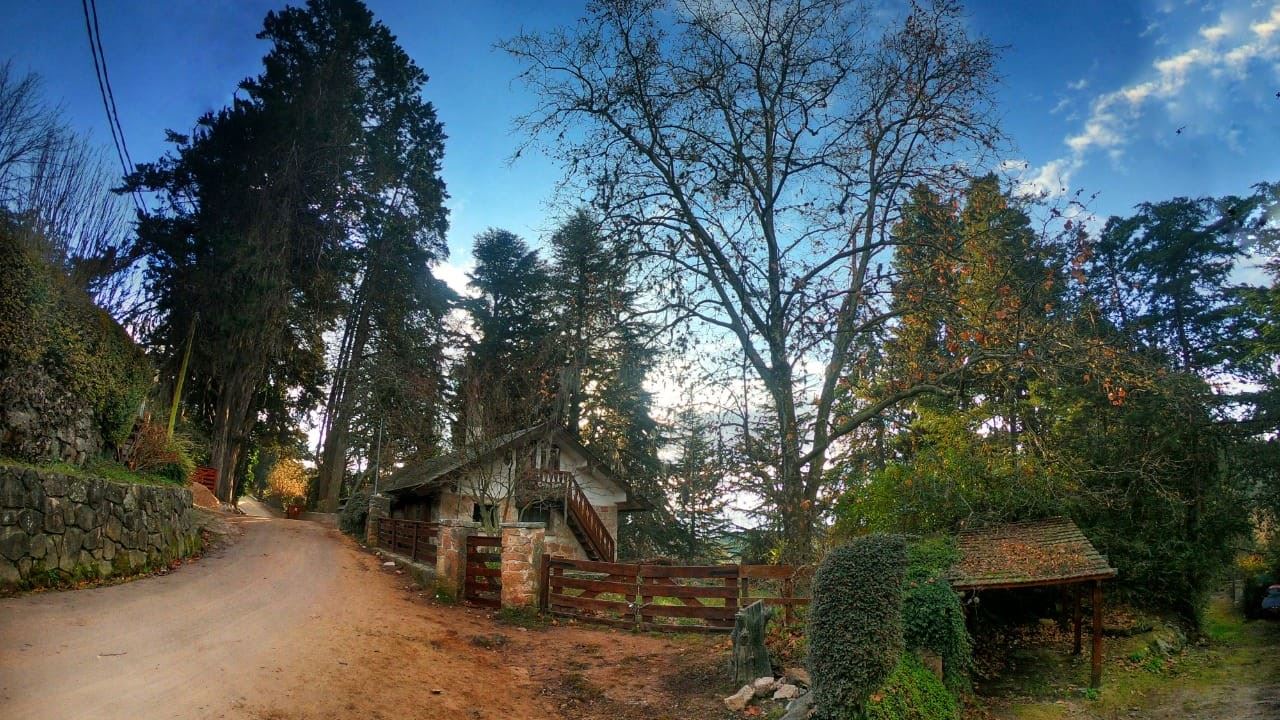 VISITE DE LA VILLE (4)