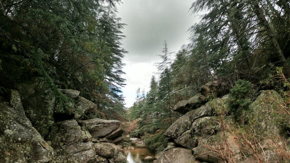 VISITE DE LA VILLE (7)