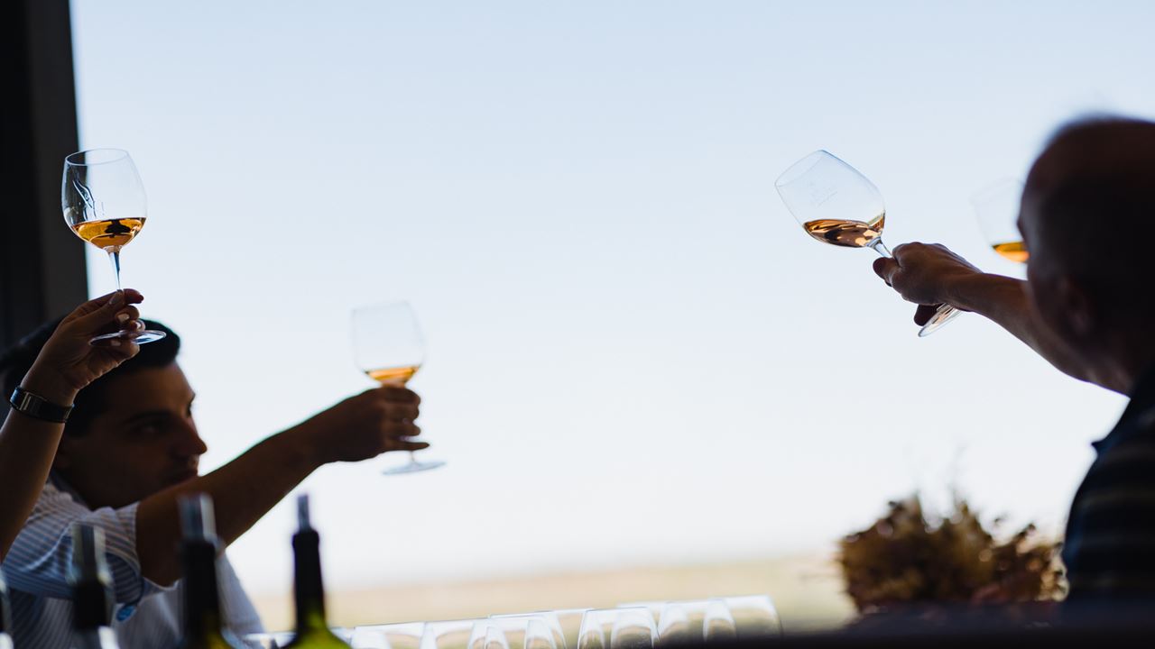 PROMO ALTA MONTAÑA, BODEGAS Y TRASLADOS (4)