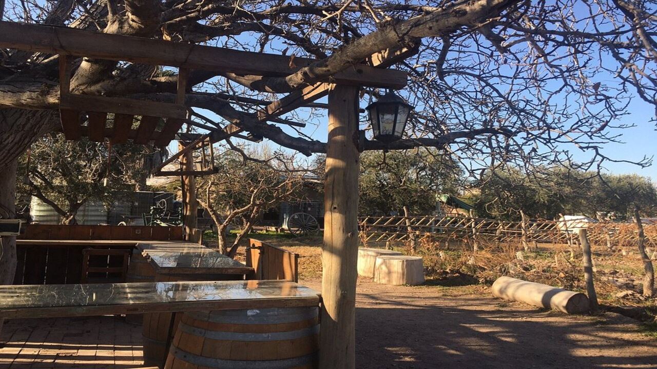 PROMO ALTA MONTAÑA, BODEGAS Y TRASLADOS (12)