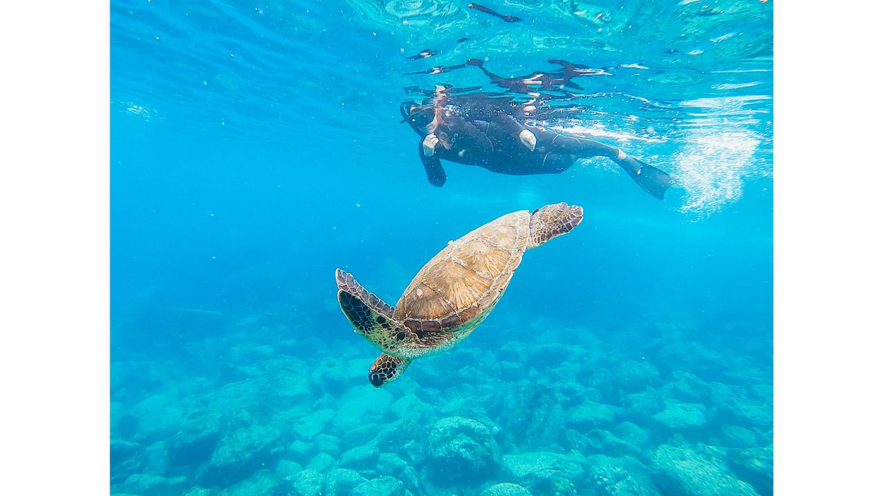 Crucero Clásico Galápagos Salvaje 5D/4N (8)