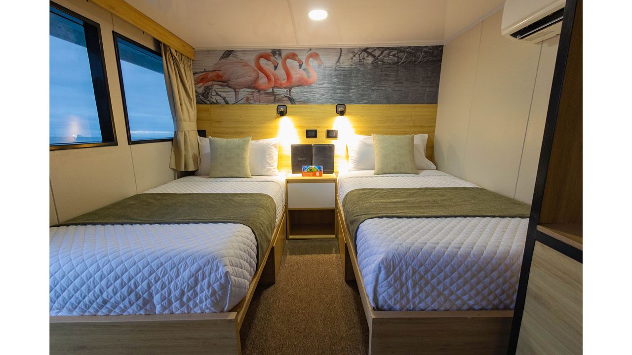 Crucero Clásico Galápagos Salvaje 5D/4N (13)