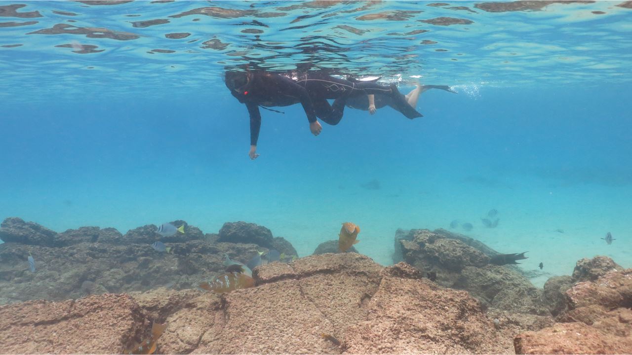 Crucero de Lujo Galápagos 6 Días – Bartolomé y Genovesa (7)