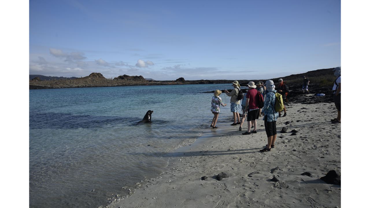 Crucero de Lujo Galápagos 6 Días – Bartolomé y Genovesa (5)
