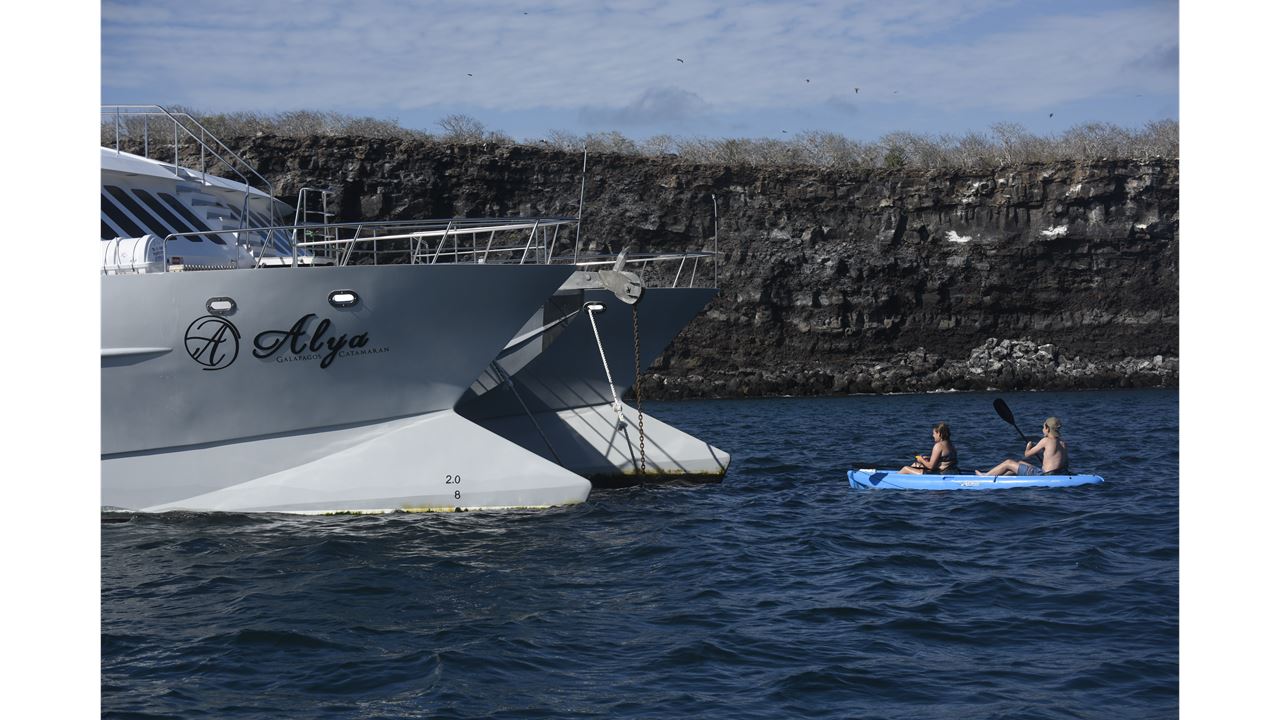Galapagos Cruise 5 Days – Bartolome, Genovesa Wildlife