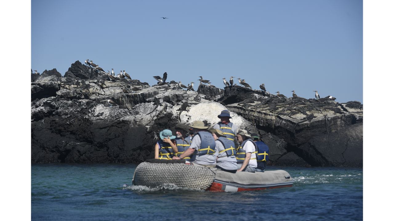 Cruzeiro de 5 dias pelas Ilhas Galápagos – Bartolomé, Genovesa e Vida Selvagem (6)