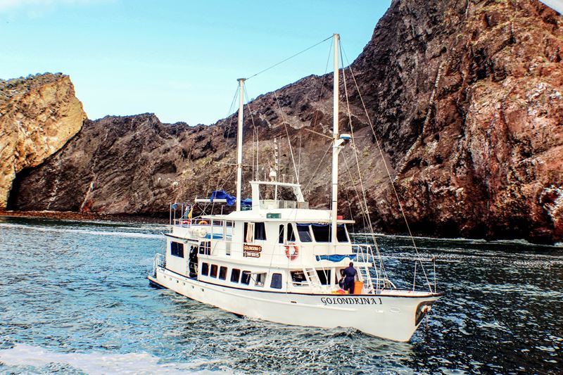 Crucero Galapagos Tip Top V Cruceros Cruceros En Islas Galapagos